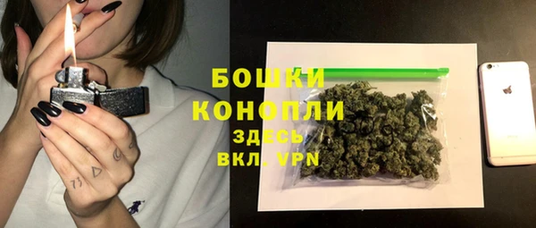 ПСИЛОЦИБИНОВЫЕ ГРИБЫ Зеленодольск