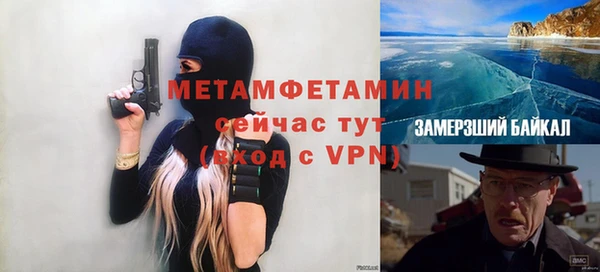 прущие грибы Зерноград