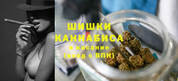 прущие грибы Зерноград