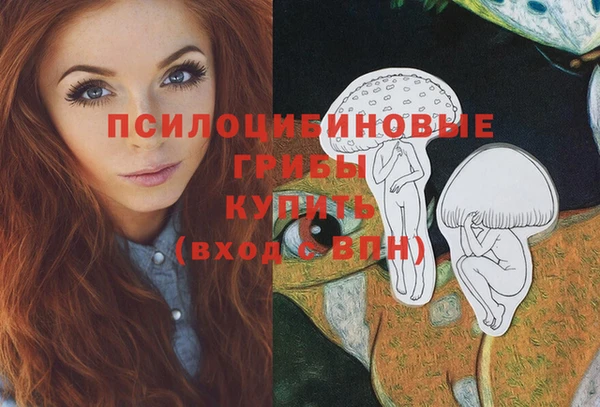 прущие грибы Зерноград