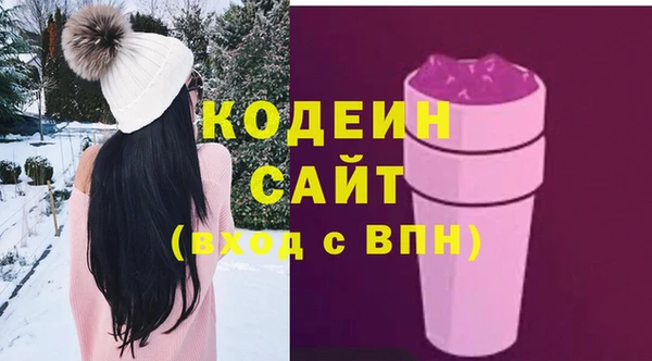 шишки Иннополис