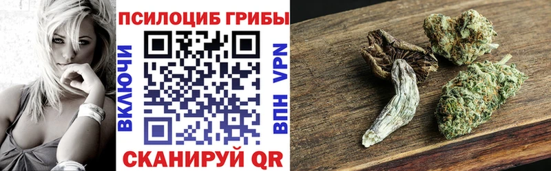 Псилоцибиновые грибы Cubensis  Купить закладки  Гай 